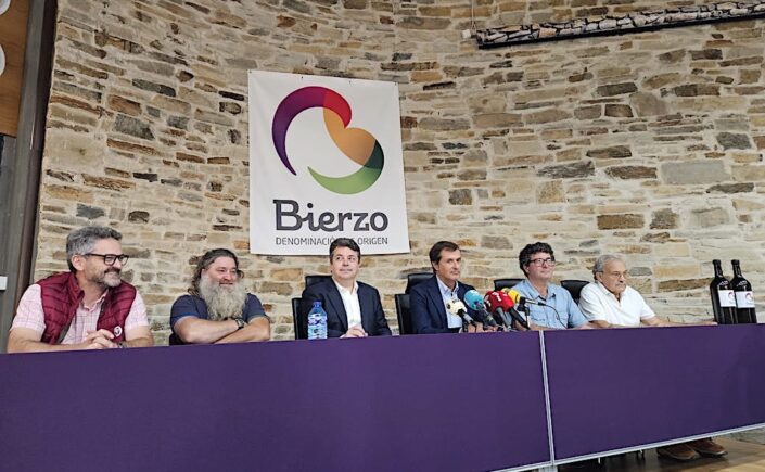 Rechazo del Bierzo a los macroparques